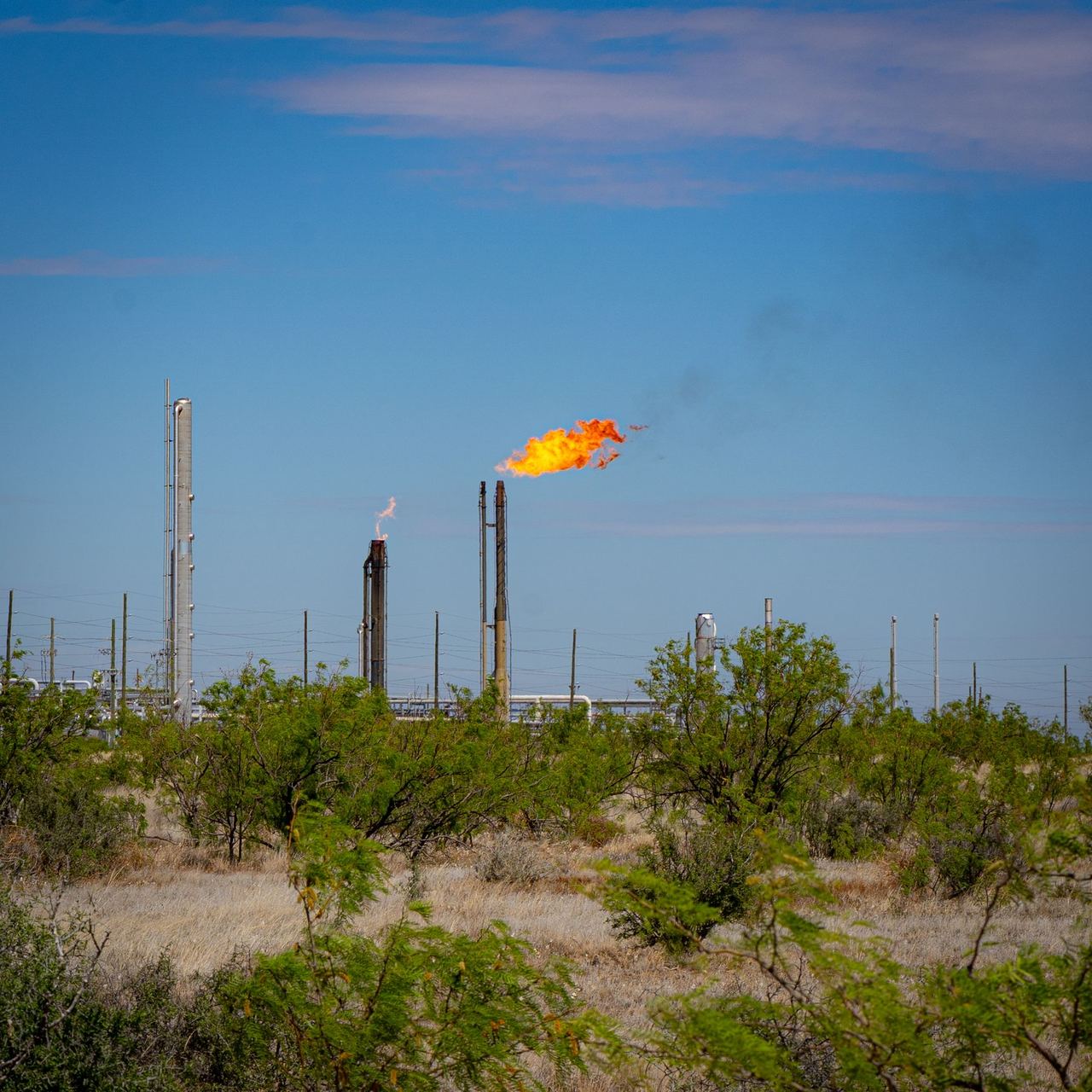 Mechurrio encendido en un campo petrolero rodeado de vegetación seca