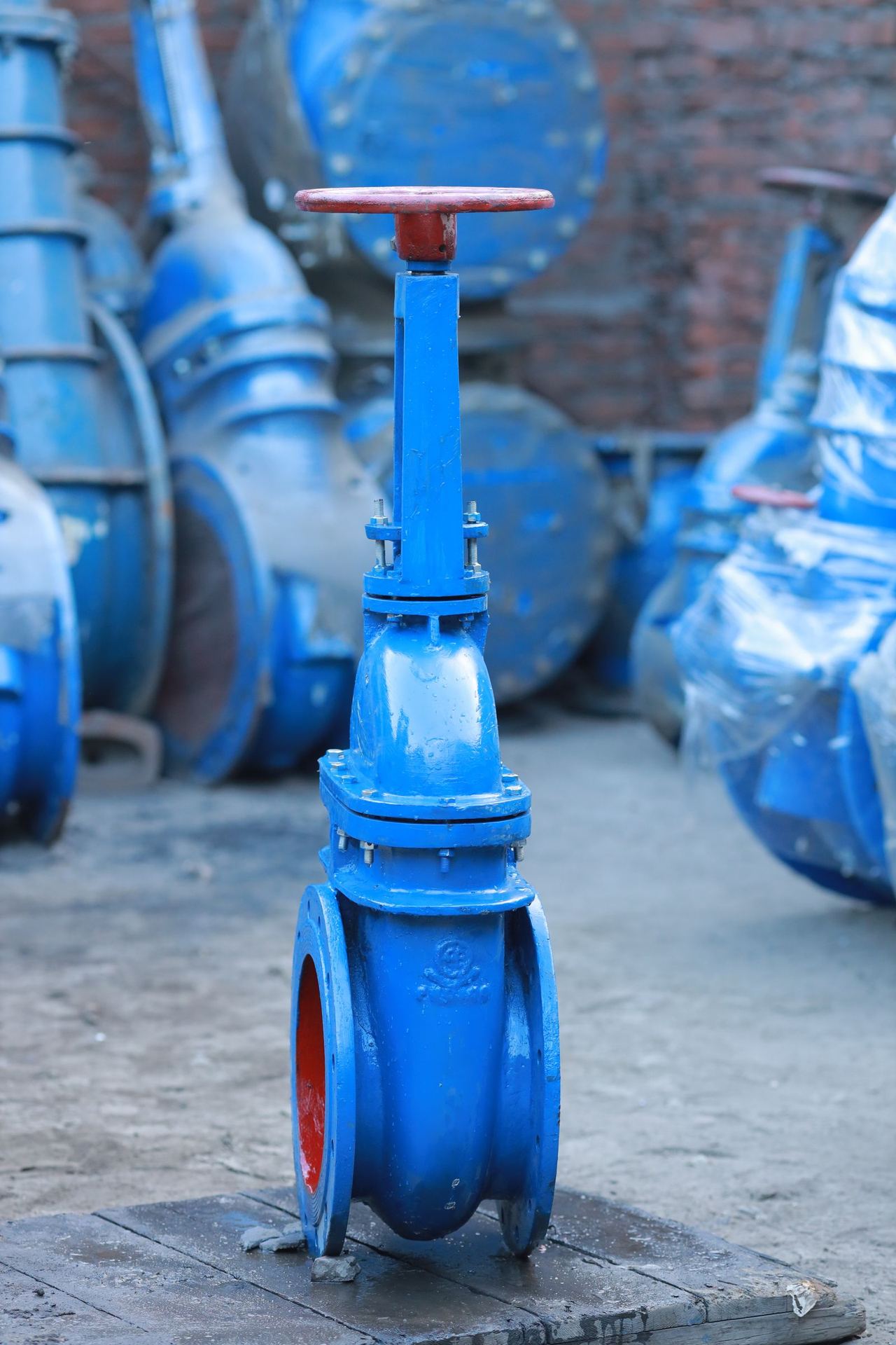 Válvula de compuerta azul